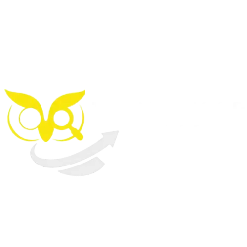 Themehmoodgroup